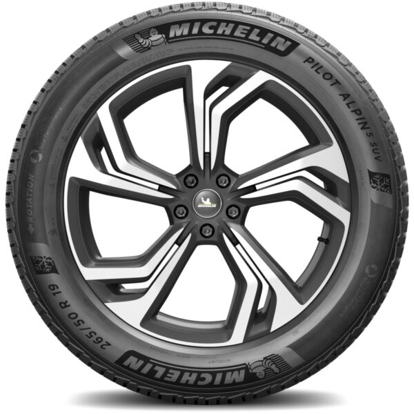 Michelin Pilot Alpin 5 SUV ZP 265/50 R19 110H XL * — изображение 3